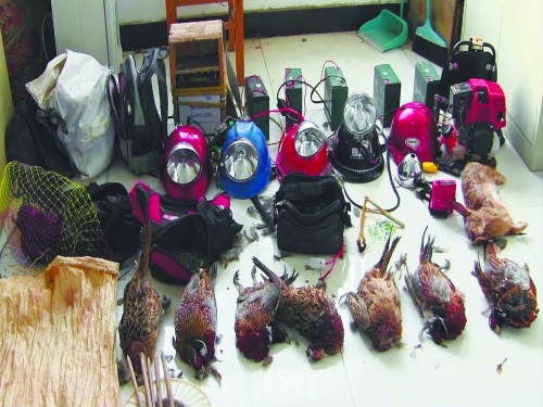 森林警方查獲的部分播放機(jī)、礦燈和獵殺的野生動(dòng)物等