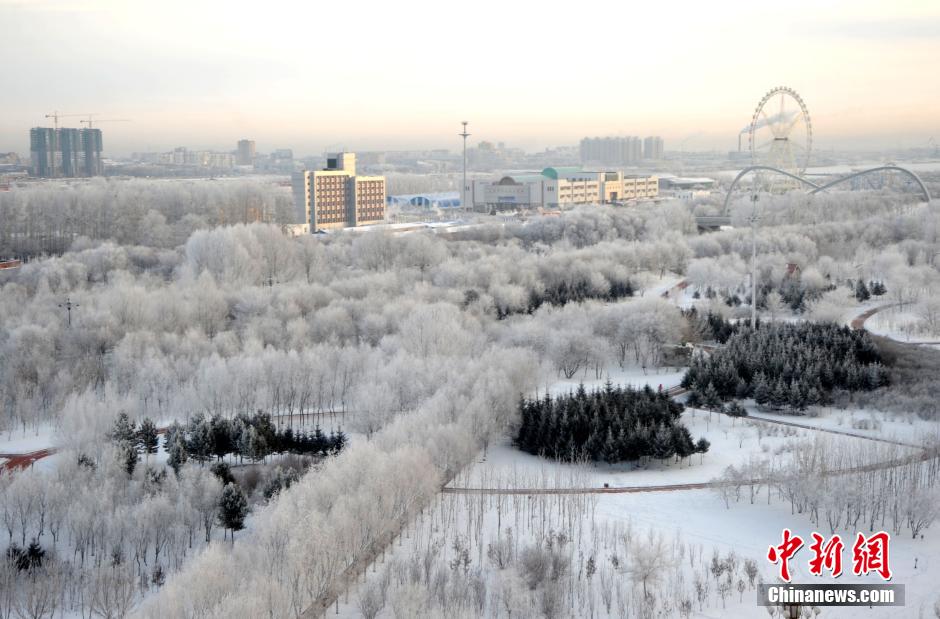 12月10日,受降溫天氣影響,黑河市黑龍江江畔出現綿延數公里的霧凇景觀。