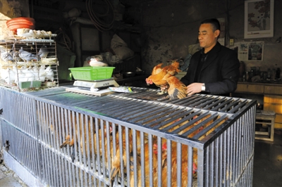 南京另一家農貿市場內待售的活雞。因南京出現H7N9禽流病例，買活雞的顧客減少。
