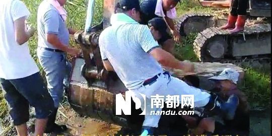 幾名戴黑帽的男子將一名老人推入水塘，后反復腳踹。