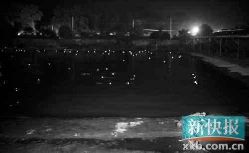 昨日，西湖村鱷魚養(yǎng)殖場已修復(fù)圍欄。