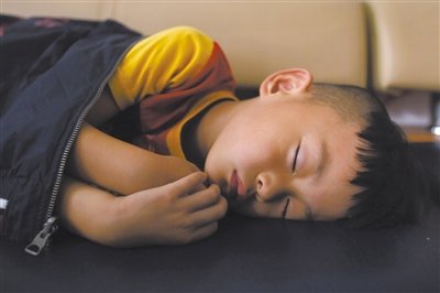 9月6日，等待錄制節目的多多躺在沙發上熟睡。新京報記者 侯少卿 攝