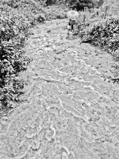 梅子回家的山道，晴天是路，雨天是河