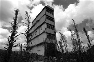 這幢5層的“片片樓”周圍已是一片拆遷后的廢墟，左邊的一堵墻上，不少鋼筋裸露在外面 圖片來源：新華網(wǎng)