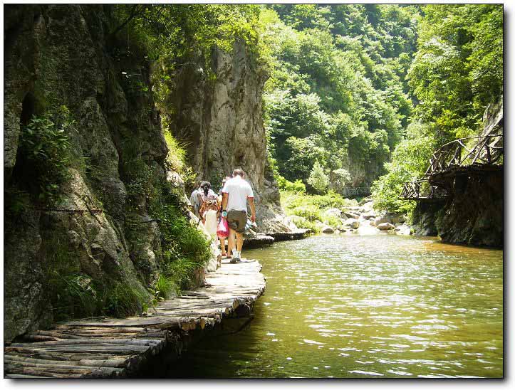 “三八節”女士免費暢游養子溝 “三八節”女士免費暢游養子溝
