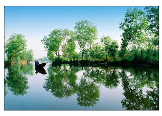 樂享綠色夏日 濕地公園生態親水之旅