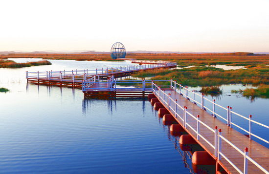 樂享綠色夏日 濕地公園生態親水之旅 樂享綠色夏日 濕地公園生態親水之旅