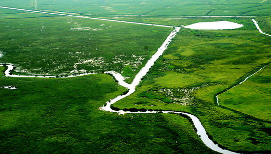 樂享綠色夏日 濕地公園生態親水之旅 樂享綠色夏日 濕地公園生態親水之旅
