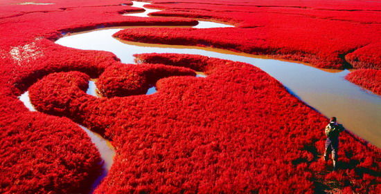 樂享綠色夏日 濕地公園生態親水之旅 樂享綠色夏日 濕地公園生態親水之旅