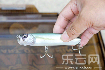 　　又稱擬餌釣魚,起源于歐洲,國內翻譯為“路亞”。
