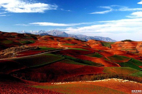 10處賞春采風(fēng)地 拍出2013年的明媚春光 10處賞春采風(fēng)地 拍出2013年的明媚春光