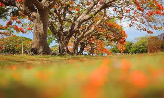 適合在冬天旅游的十個絕美海島！
