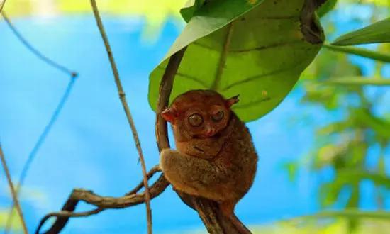 適合在冬天旅游的十個絕美海島！