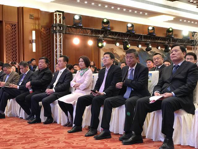 董明珠在現場演講時表示，她愿意拿她所有的資產投入到珠海銀隆里。據悉，同時與珠海銀隆原始股東共同簽署增資協議的，還有董明珠個人及北京燕趙匯金國際投資有限責任公司、大連萬達集團股份有限公司、江蘇京東邦能投資管理有限公司等3家知名企業，5家單位或個人共同增資30億，獲得珠海銀隆22.388%的股權。