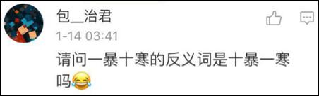 鶴立雞群？雞立鶴群！