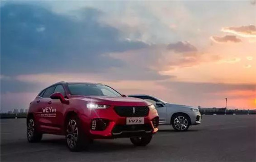 去年“蹦”出來的新汽車品牌們，現(xiàn)在活得怎么樣了？