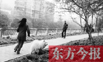 12月3日，鄭州市南關街熊兒河旁，一名遛狗的女子見到執法人員檢查，迅速跑開