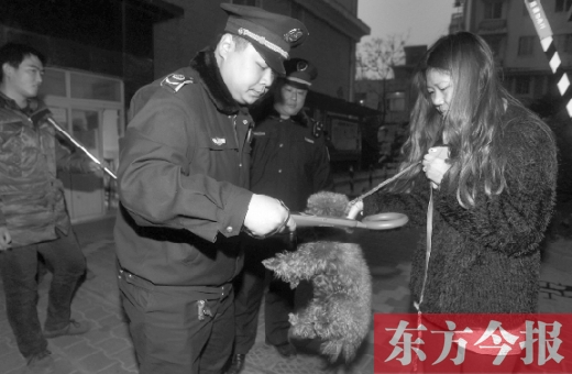 12月3日早上6點半，鄭州市南關街熊兒河旁，南關街辦事處的執法人員對狗進行排查
