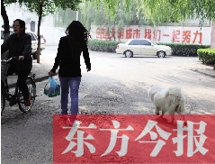 啟明一巷內(nèi)，一名女子帶著狗狗去買菜。狗隨地大小便，狗的主人未制止