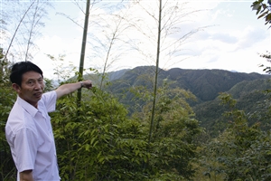 村民吳學田告訴記者，對面兩座山就是潘建友承包的部分山場 見習記者 邱一文 攝