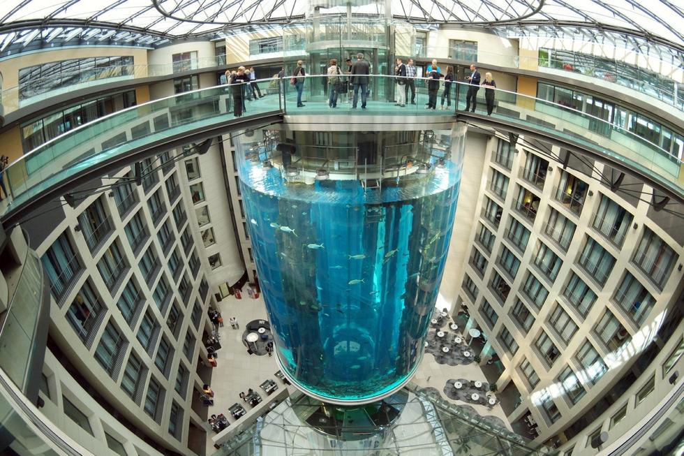 在圓柱水族館主體下方，還有一些別的展館。
