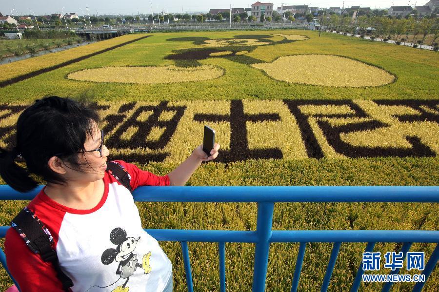 10月25日，游客在觀景臺上觀賞“米老鼠”稻田畫。