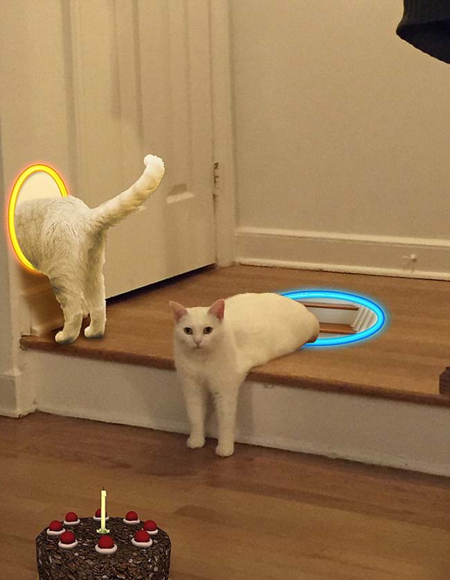 喵星人奇葩坐姿遭惡搞 網友腦洞大開 喵星人奇葩坐姿遭惡搞 網友腦洞大開