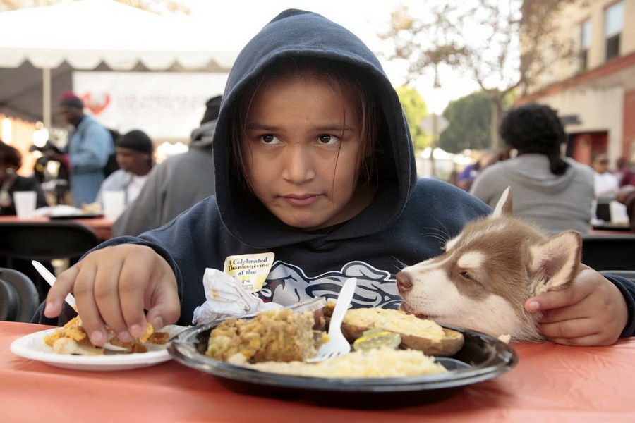 11月21日，加州洛杉磯的游民巷，12歲的堂娜·赫南德茲抱著愛犬“湯米”，安靜地吃著免費的感恩節飯菜