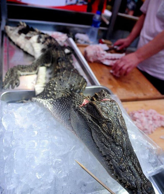 沈陽現“烤鱷魚肉”20元一串現烤現賣(圖)